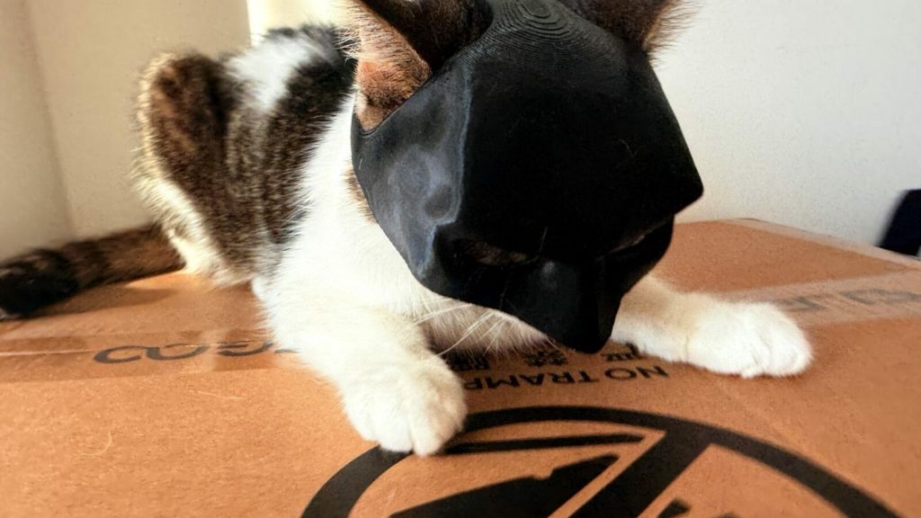 Masca Batman pentru Pisici