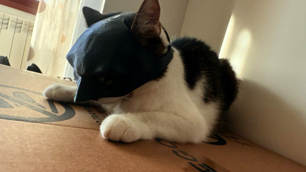 Masca Batman pentru Pisici