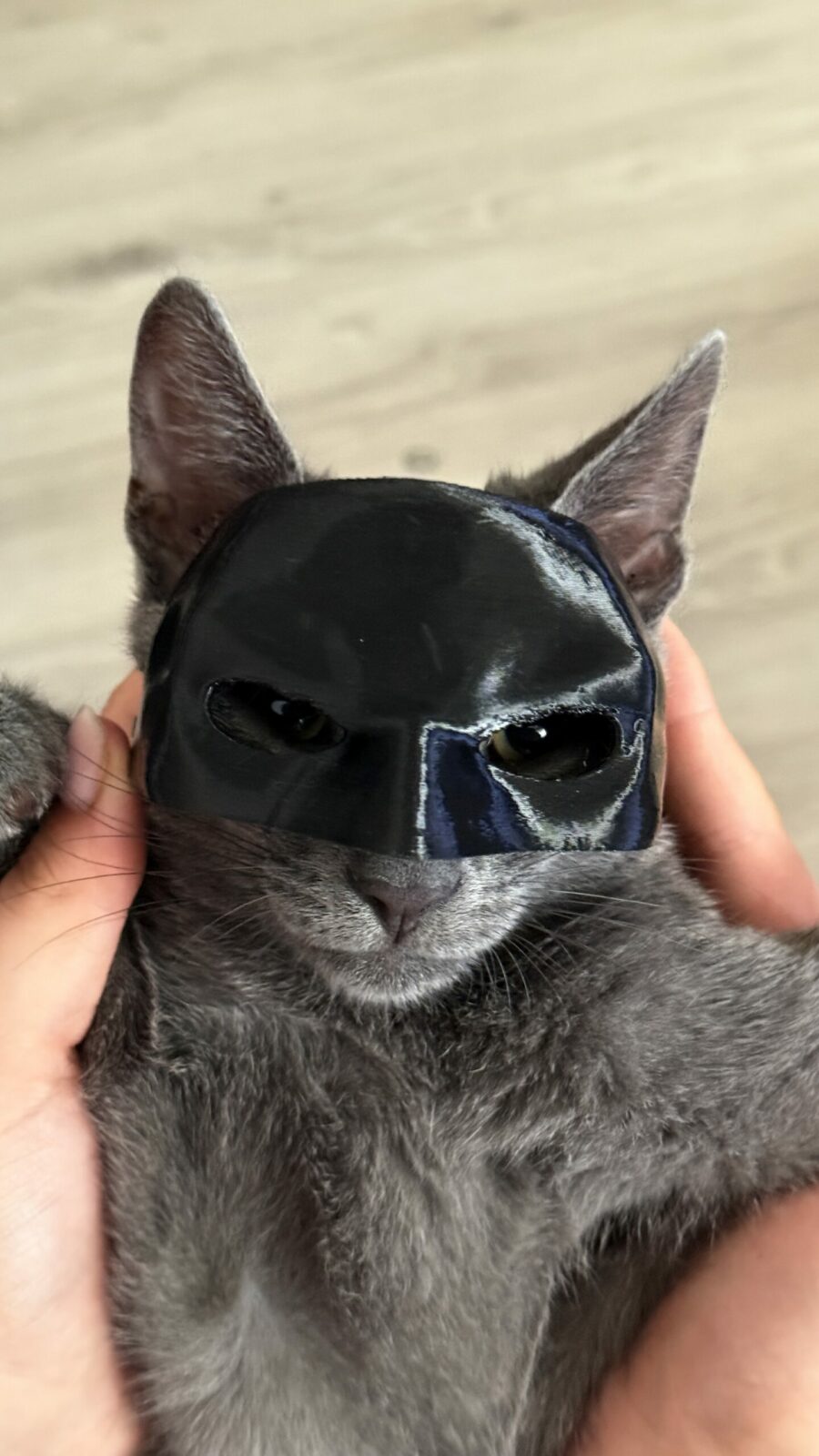 Masca Batman pentru Pisici